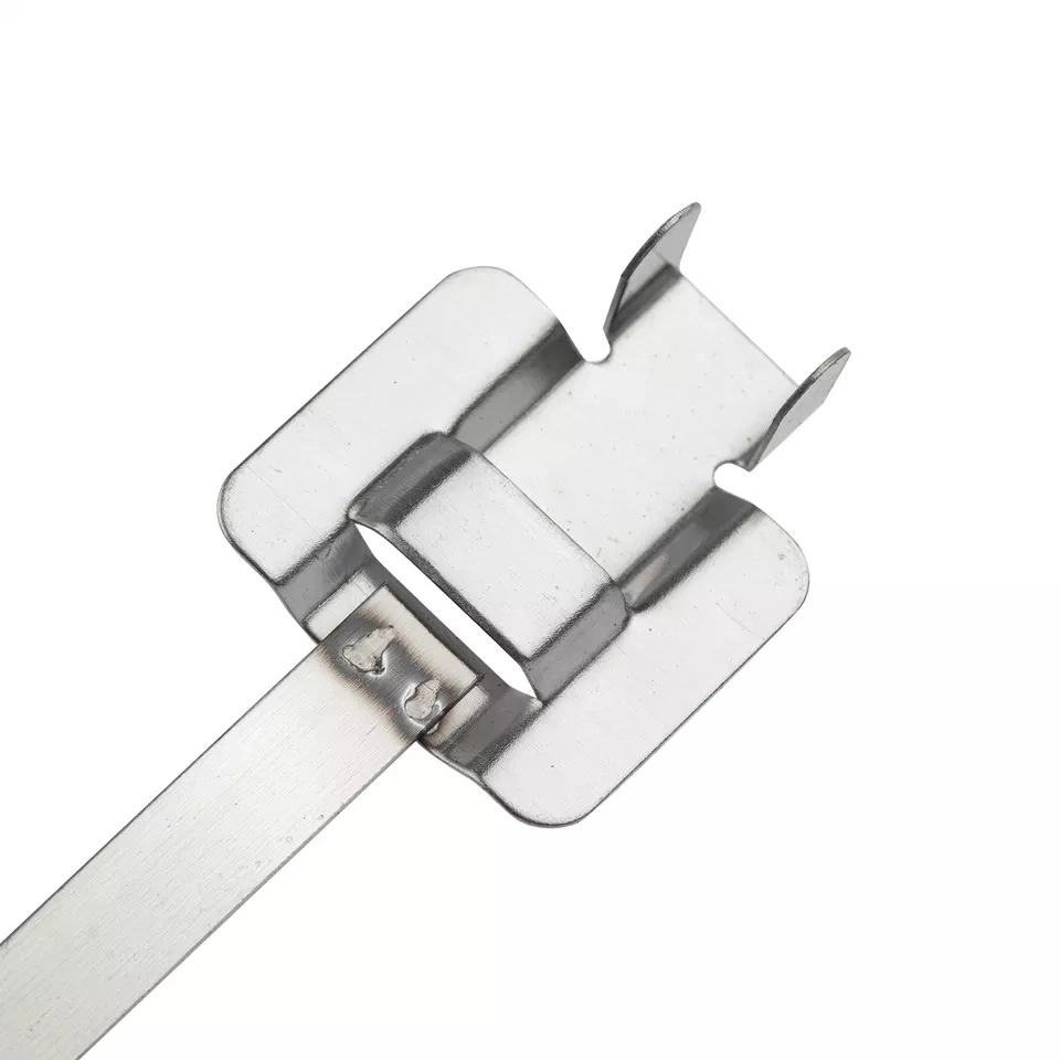 SS304 /316/201 Sprayed Ball Lock Self Locking Zip Stainless Steel Cable Tie