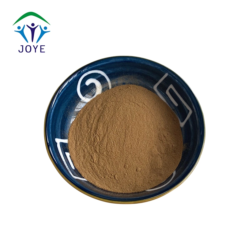 Natural Olive Leaf Extract Powder Oleuropein