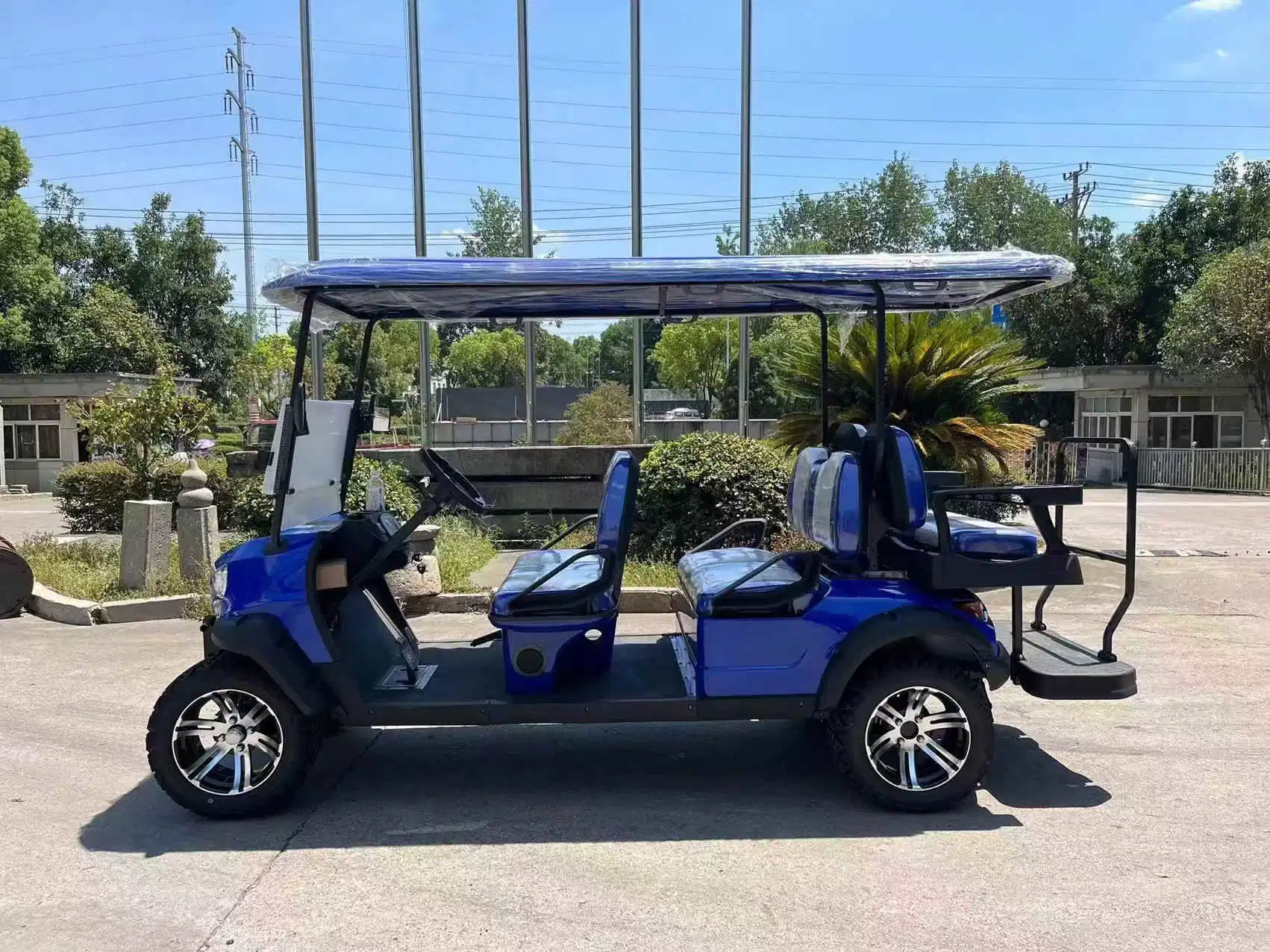 Hot Sports Ground Golf Buggy off-Road Electric Golf Cart for Sale