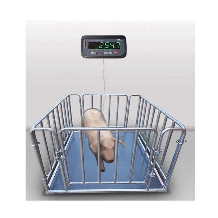 High Accuacy 1000kg Digital Cattle Livestock Weighing Scale for Pig