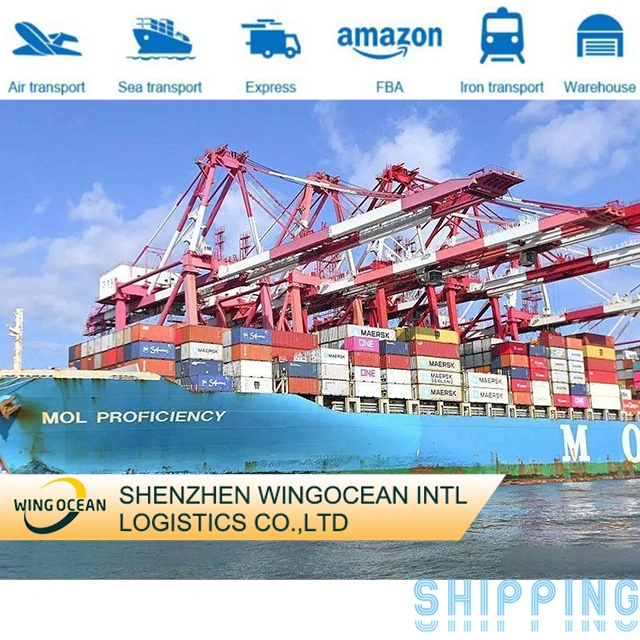 Safe Fast and Professional Shenzhen Logistics Forwarder Sea Freight Shipping Cargo to Mexico/ Australia