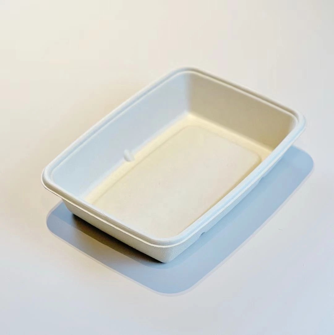 100% Biodegradable Compostable Disposable Bagasse Sugarcane Bamboo Pulp Takeaway Lunch Tray Salad Box