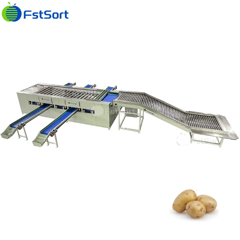 Fstsort Vegetable Grading Sorting Machine Potato Sorter Potato Grader Potato Packing Machine Potato Sorting Equipment Potatoes Sizing Packinmg Machine