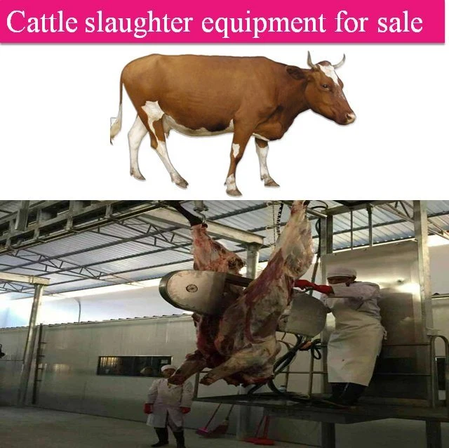 Matadouro bovinos de abate de carne de bovino de processamento de carne de equipamento da máquina para venda