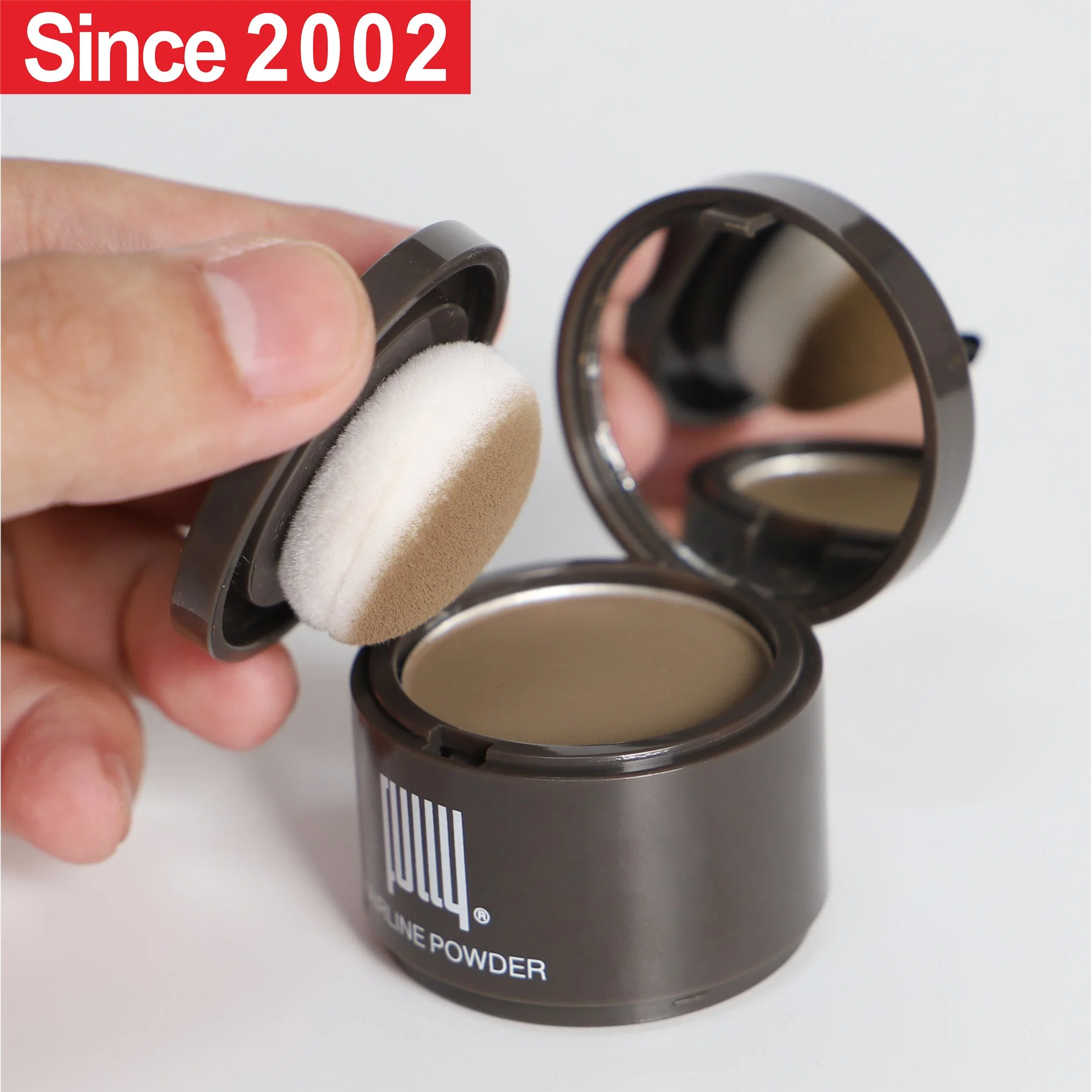 Factory Wholesale/Supplier Price Professional OEM ODM Fully Hairline Powder Hair Loss Concealer for Thinning Hair