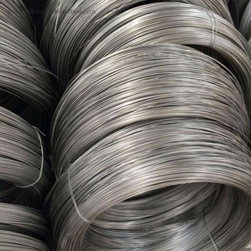 Stainless Steel Spring Wire Special Shaped Stainless Steel Profile Wire