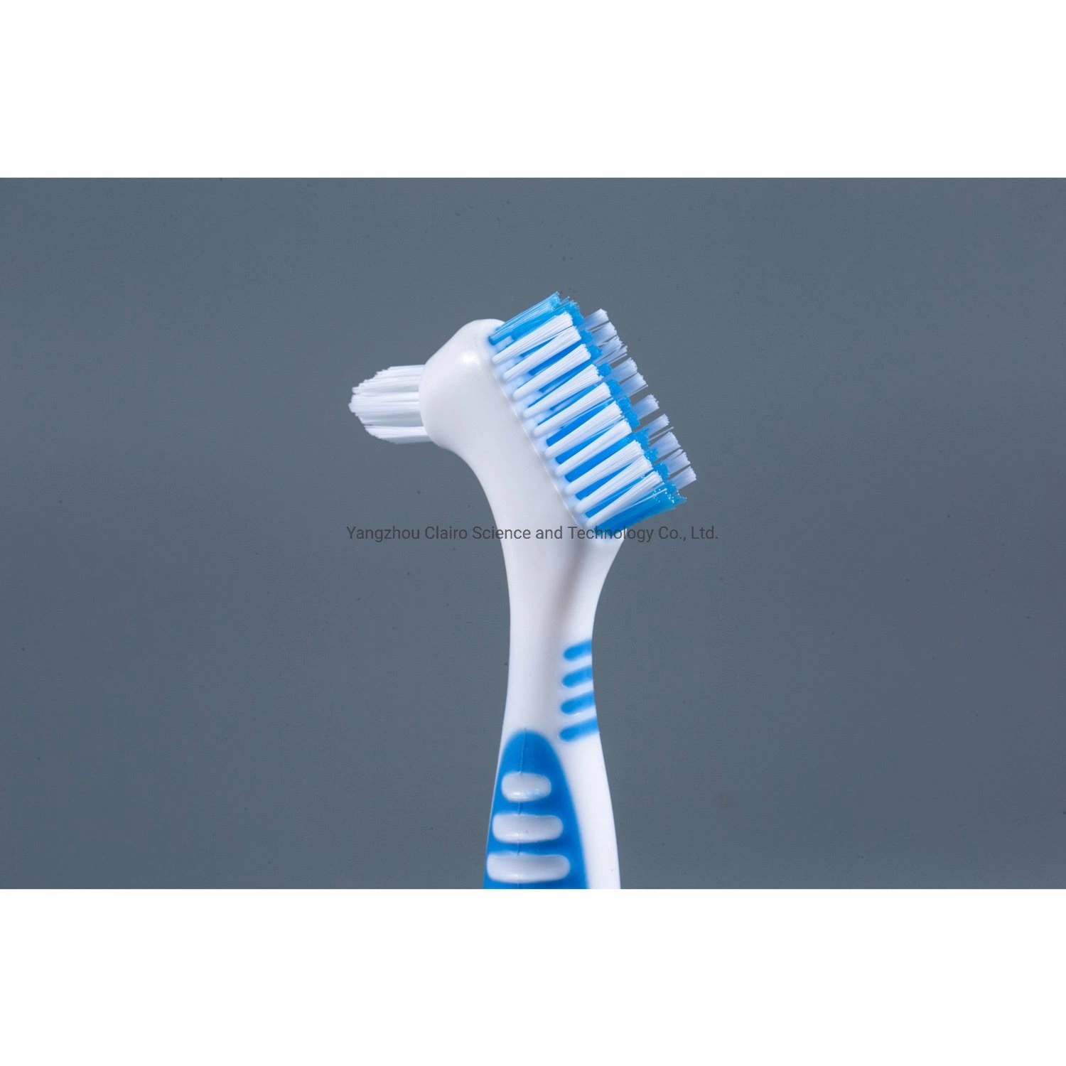 ISO Qualified Supplier for Denture Toothbrush Logo Print Available on Time Delivery