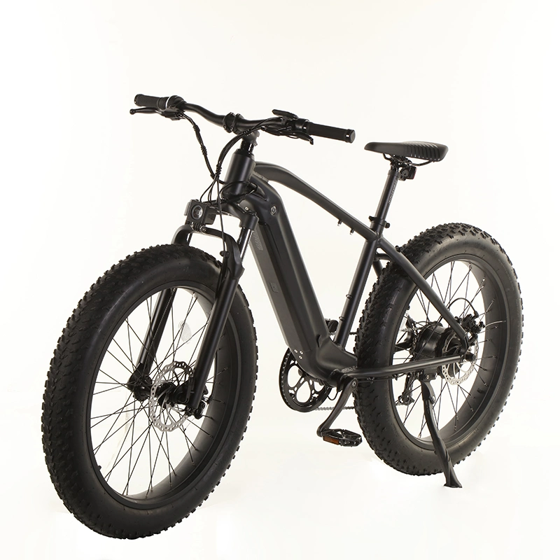 Amazon Top Selling 750W Powerful Fat Tire Electric Bike