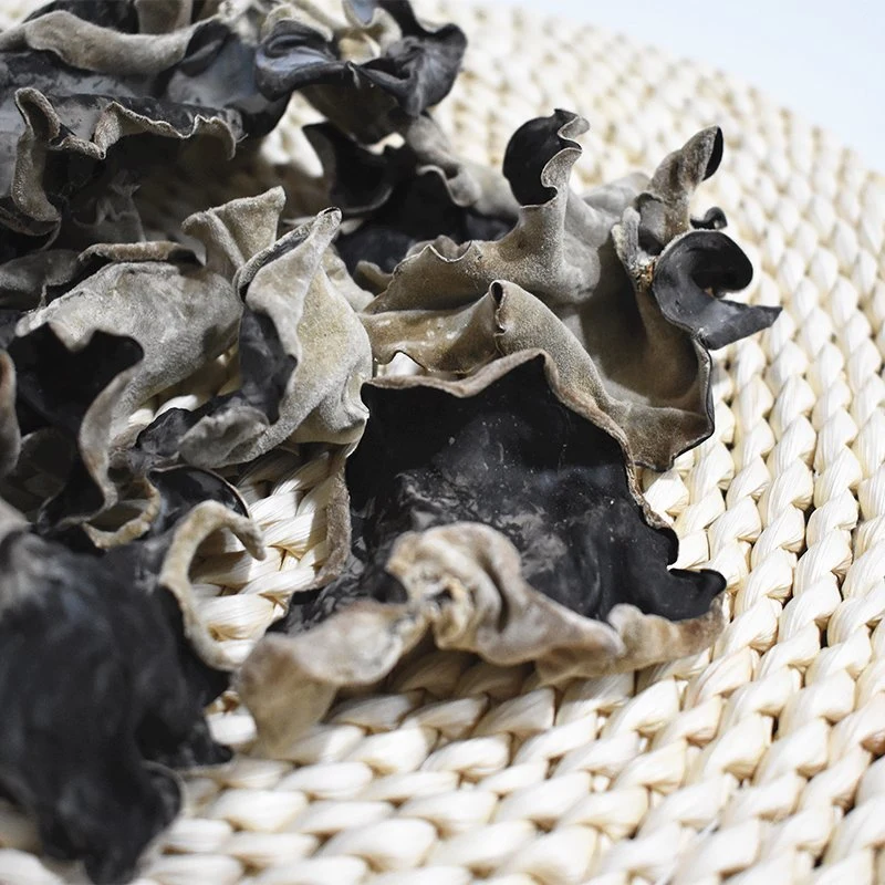 Big Green Organic Dried Black Fungus with Health Benefits