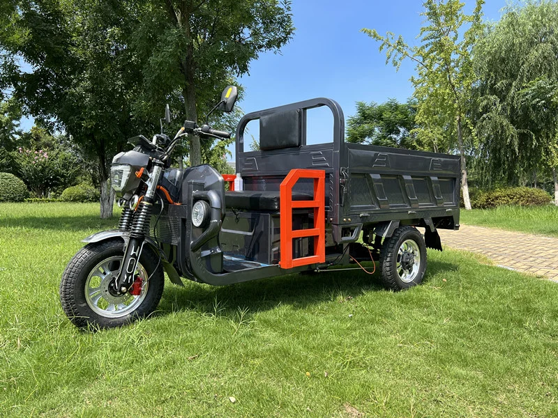 Günstige E-Trikes MID Asia Market 3 Wheel Cargo Elektrische Dreiräder Motorrad Dreirad E-Bike