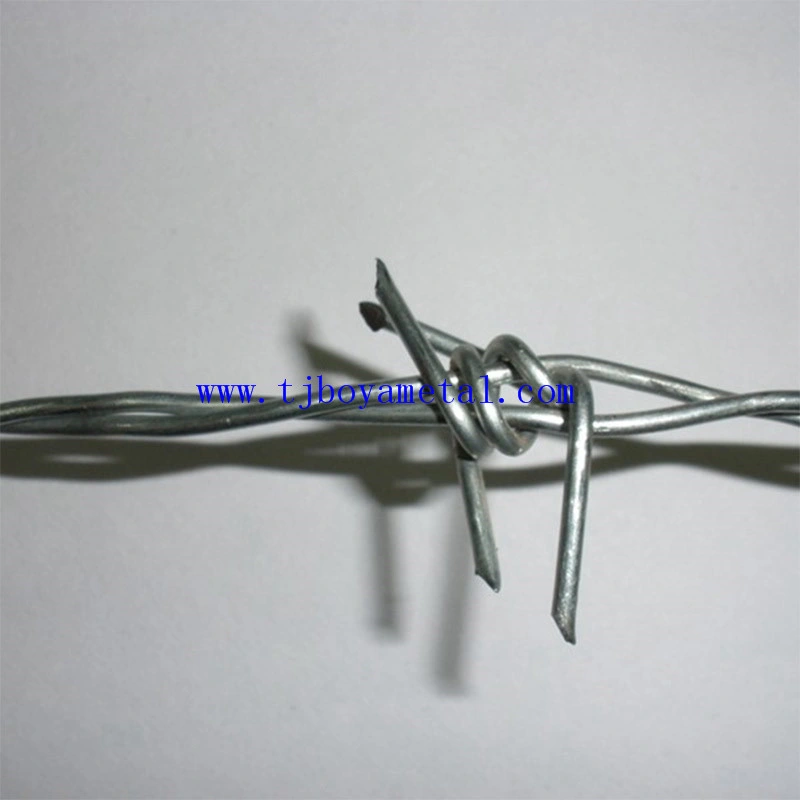 Galvanized or PVC Coated Barbed Wire/Cheap Barbed Wire for Building and Security Made in China