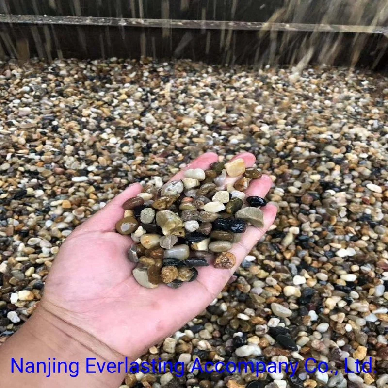 Flat River Pebbles Natural Cobbles Garden Beach Rocks