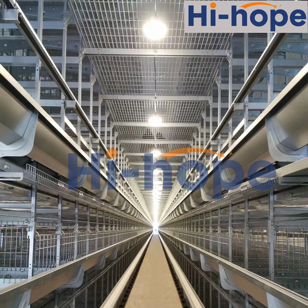 Modernization Farming Equipment Agricultural Layer Cages Chicken Layer Cage Design