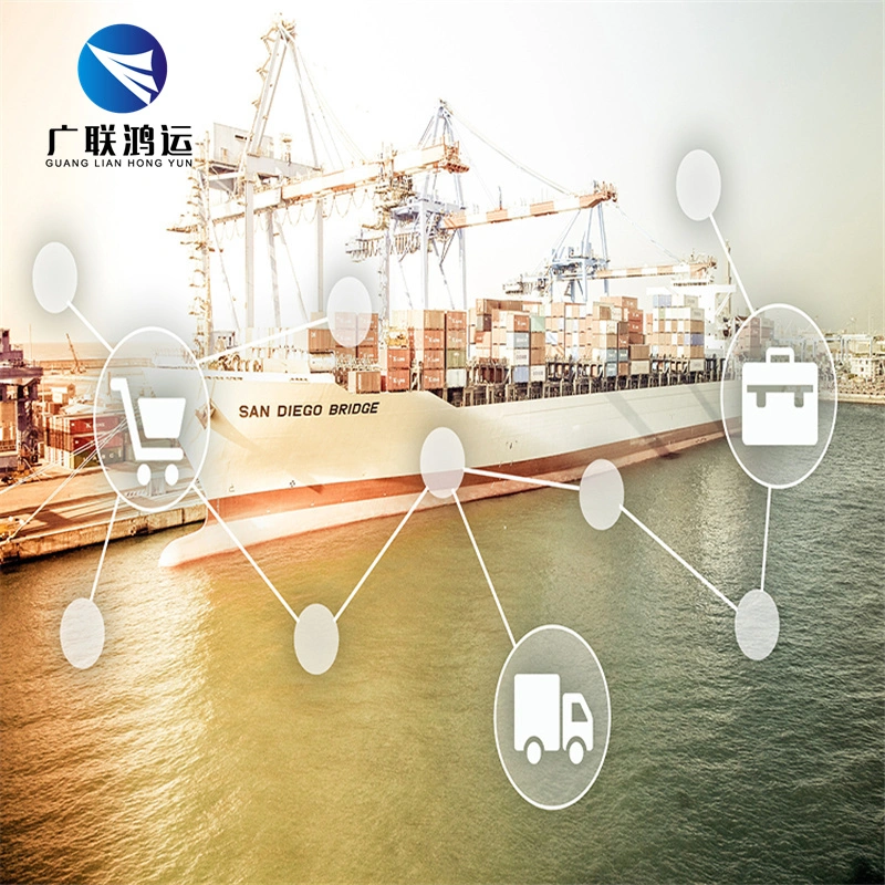 أمازون Fba Sea Freight Forwarder من الصين إلى الولايات المتحدة الأمريكية للطيران وكيل الشحن