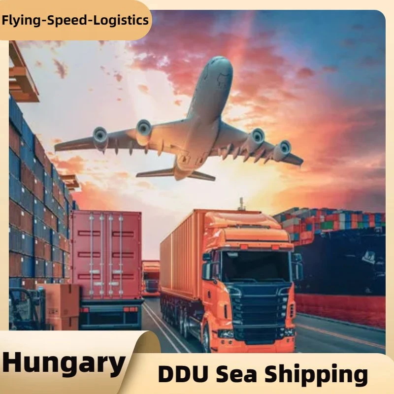 DDU sea Freight Agente de Transporte de carga a Hungría Freight Transportista