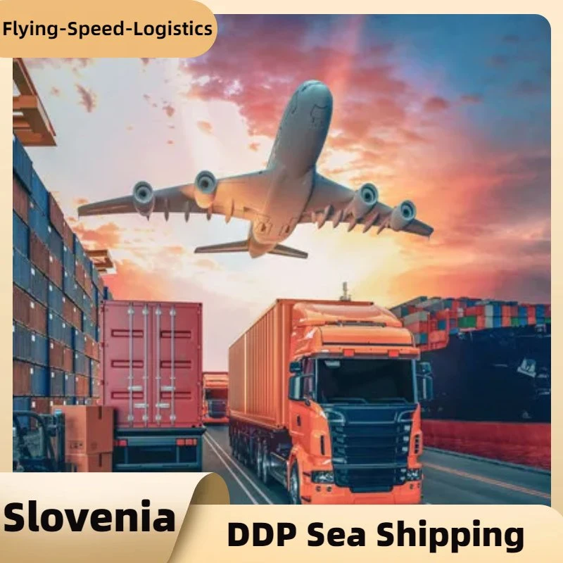 DDP Sea Freight Shipping Agent Shipping Cargo to Slovenia Freight Forwarder