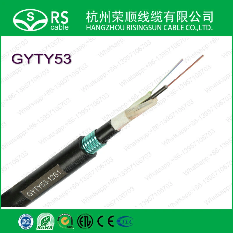 Fiber Optic Cable Gyxtc8s/GYTY53/GYTA53/GYTS/ADSS Optical Fiber Cable