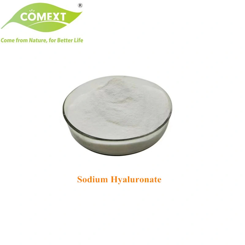 Comext Hot Sale Cosmetics Addtive Sodium Hyaluronate Acid for Moisturizing and Anti-Wrinkle