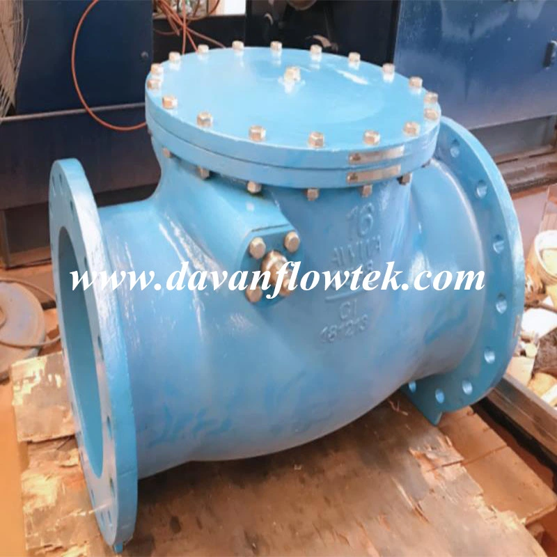 Cast Iron Gg25 DN100 Swing Check Valve Flanged Check Valve DIN/BS Standard Globe Valve Pn16 Metal Seat Gate Valve Original Factory Swing Check Valve