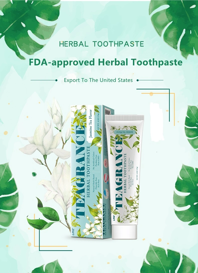 170g Good Taste Wholesale/Supplier Daily Using Herbs Toothpaste