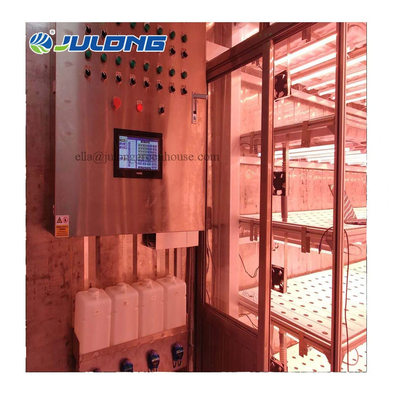 Turnkey Project Vertical Farming Aquaponics Suppliers Hydroponic Container Greenhouse Factory Price