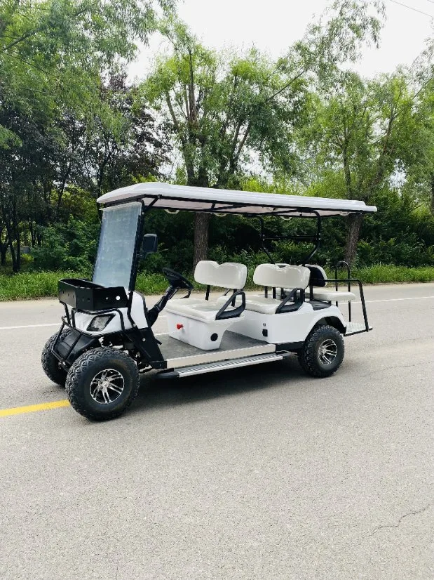 48V 60V Electric Vehicle with Roof Golf Cart with Competitive Price with Flip Down Rear Seat