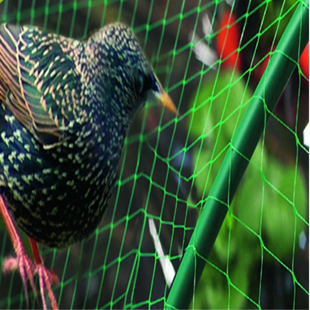 Filet anti-oiseaux vert, filet d'oiseaux de jardin de plantes