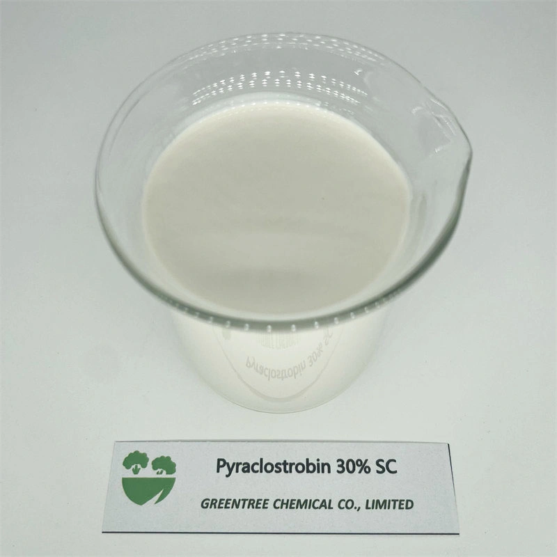 No CAS 175013-18-0 fongicide pyraclostrobine 30 30 % Sc