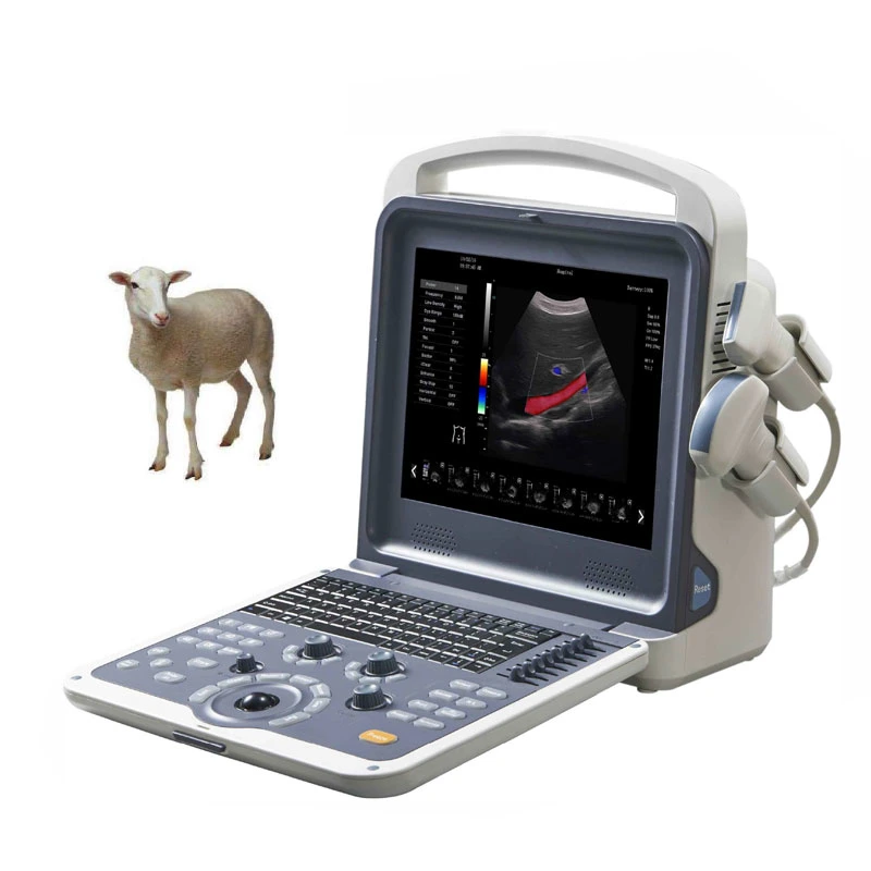 Mon-A035b fournisseur médical bon marché d'échographie portable Vet moutons Machine d'échographie Doppler couleur 3D 4D