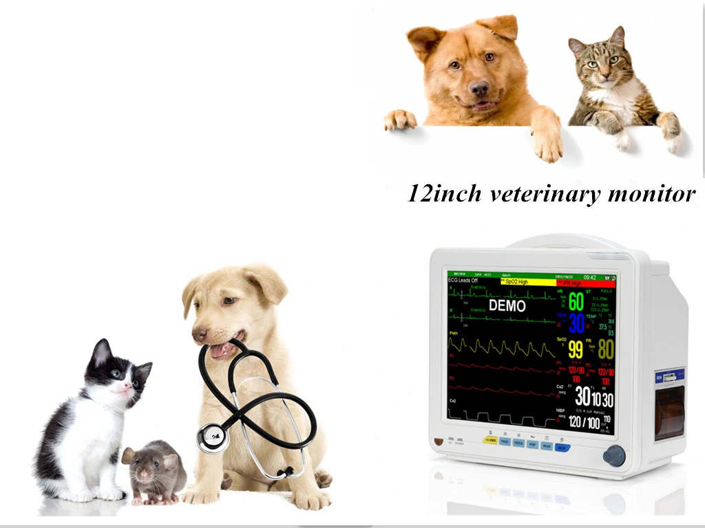 12" Veterinary Pet Vet 6 Parameters Monitor Hev-9000n