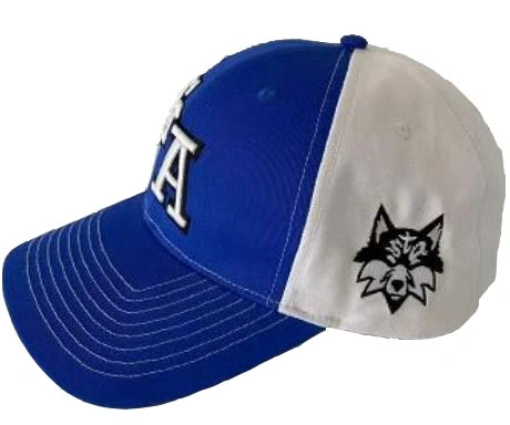 Customize Trucker Mesh Foam Mesh 6 Panel Embroidery Promotion Cap