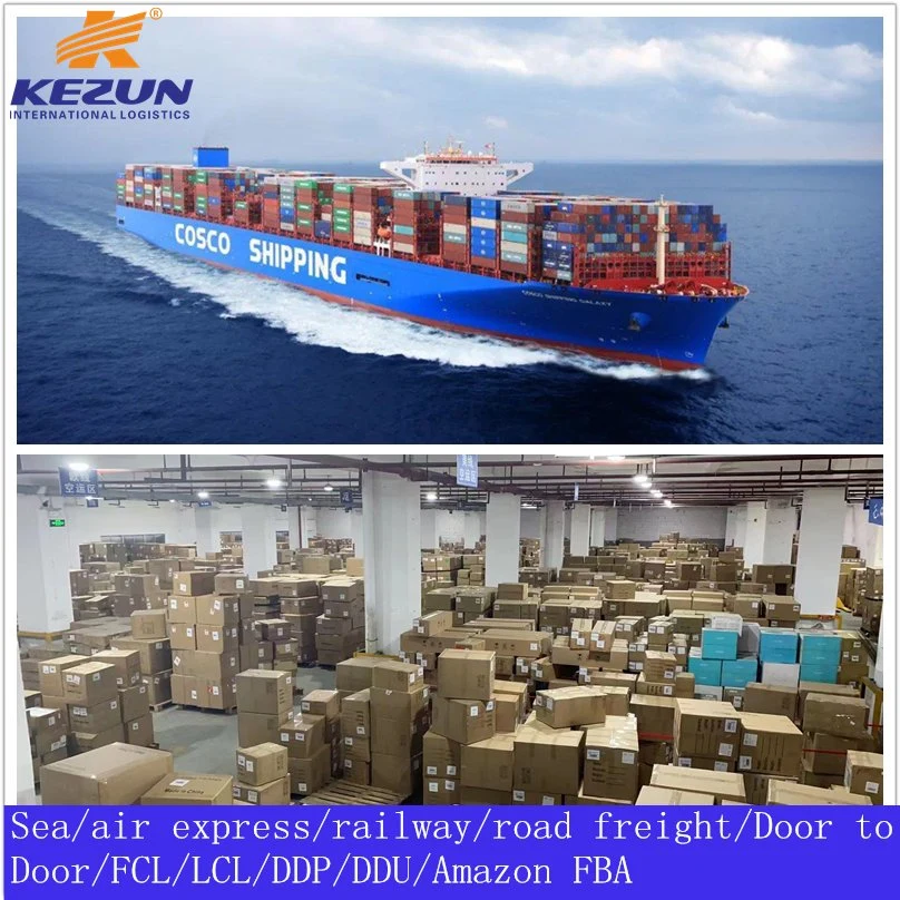 Sea Freight Ocean Freight Shipping Agent From China to Fiji