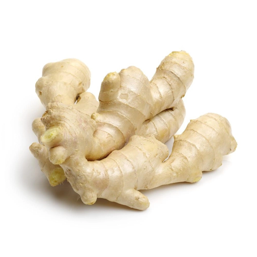 Fresh Ginger Air Dry Ginger with Good Price From China