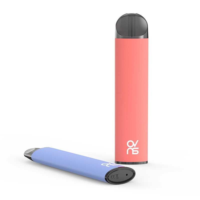 Disposable/Chargeable Pod 600puffs Electronic Cigarette Smoking Vape Wholesale/Supplier