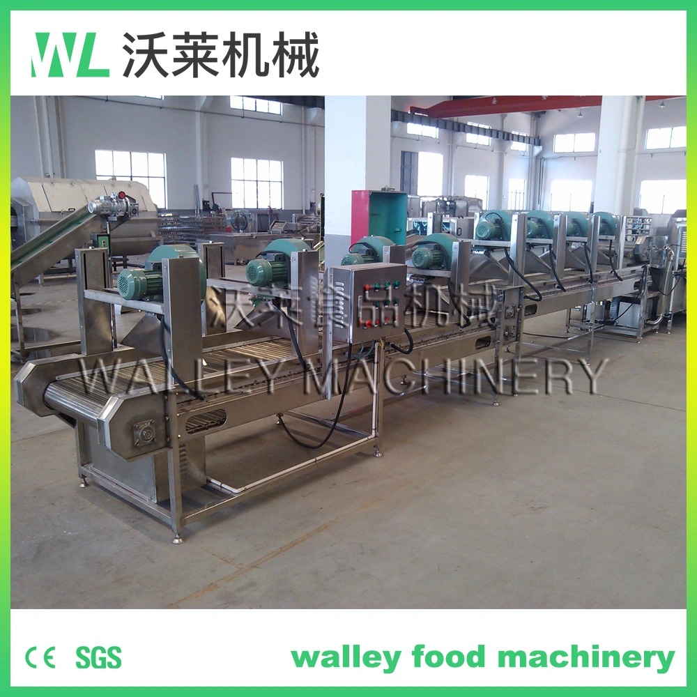 China Vegetable Surface Water Blowing Machine Blower