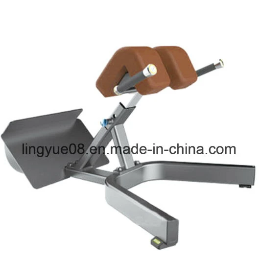 Home and Gym Use Strength Fitness Equipment 45 Degree Back Extension L-1046