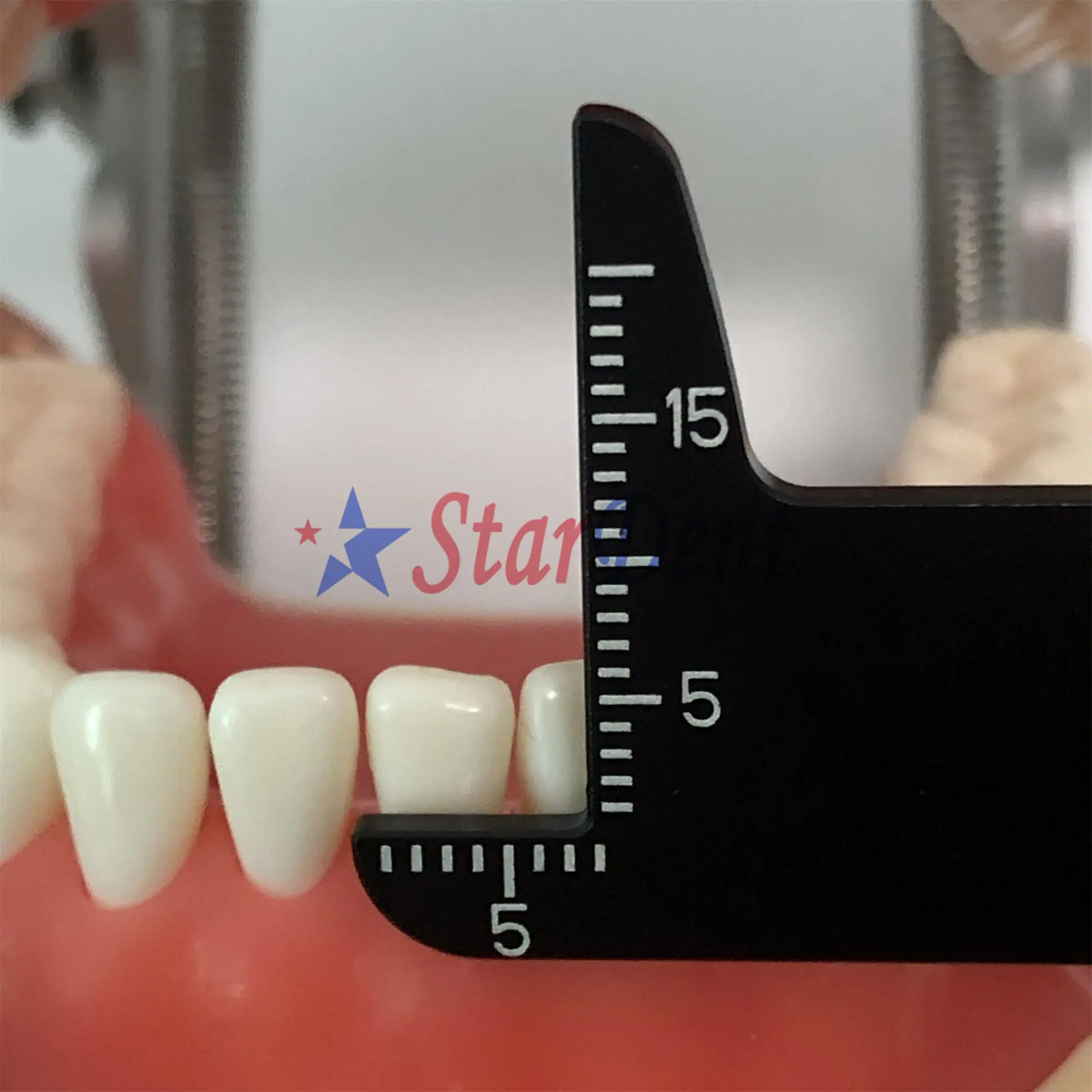Precision Measuring Ruler Dental Ruler Interdental Distance Multifunctional Ruler Supply