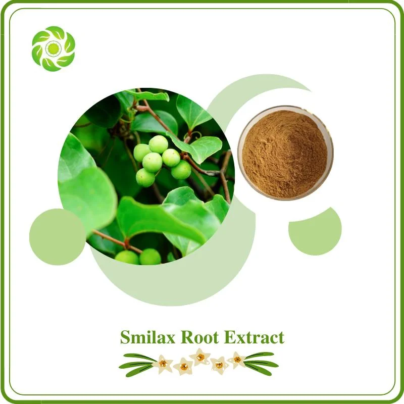 Free Sample Factory Direct Supply Sarsaparillin a B C 10: 1treatment of Diabetes Migraines Detumescence Smilax China L. Sarsaparilla/Smilax Root Extract