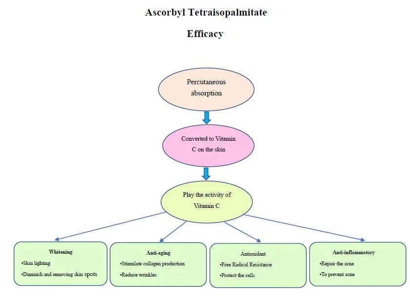 Excellent Quality China Esterified Vitamin C Derivative Vc-IP Ascorbyl Tetraisopalmitate