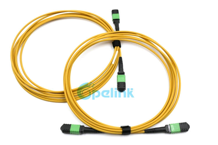 High Performance High-Density MPO-MPO Trunk Fiber Jumper with Factory Price