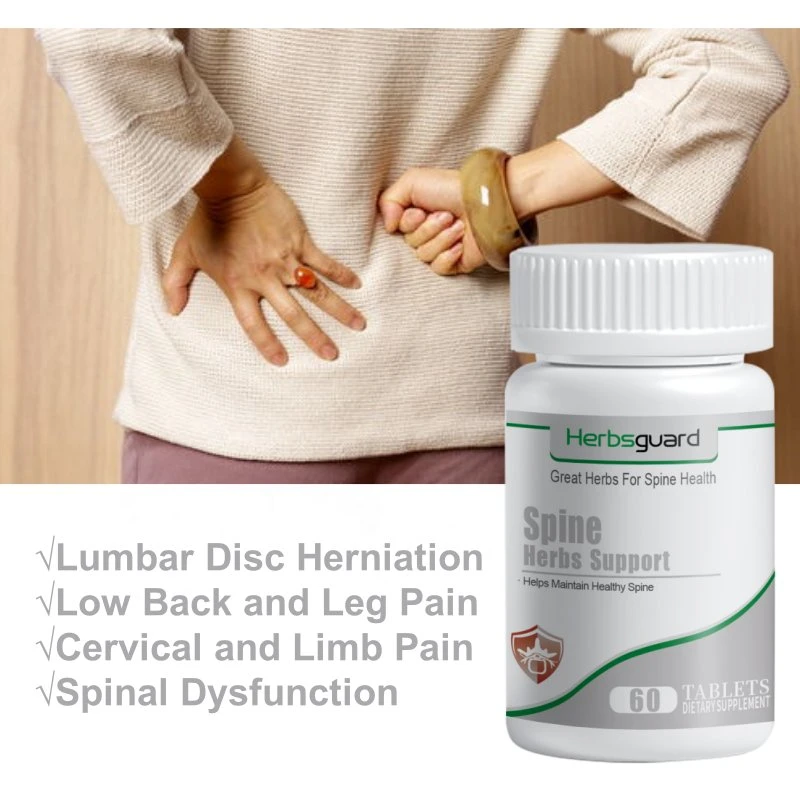 Hot Lumbar Pain Relief Kräuterextrakt Ergänzung für Wirbelsäule Gesundheit