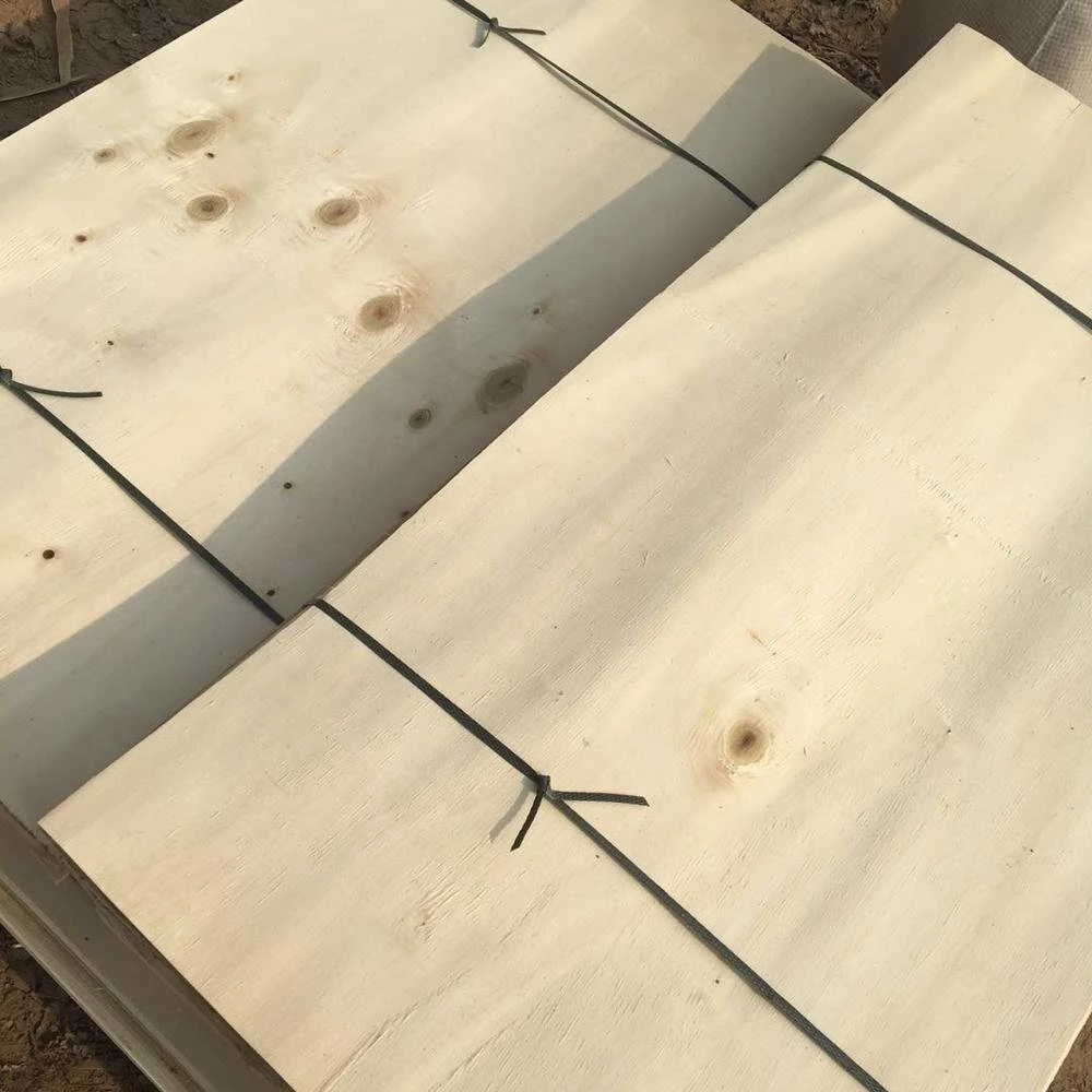 Nature Poplar Wood Barked Veneer for Plywood