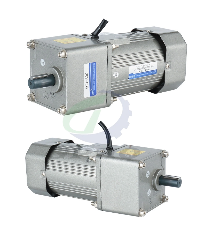 Low Power AC Gear Motor with Speed Controller