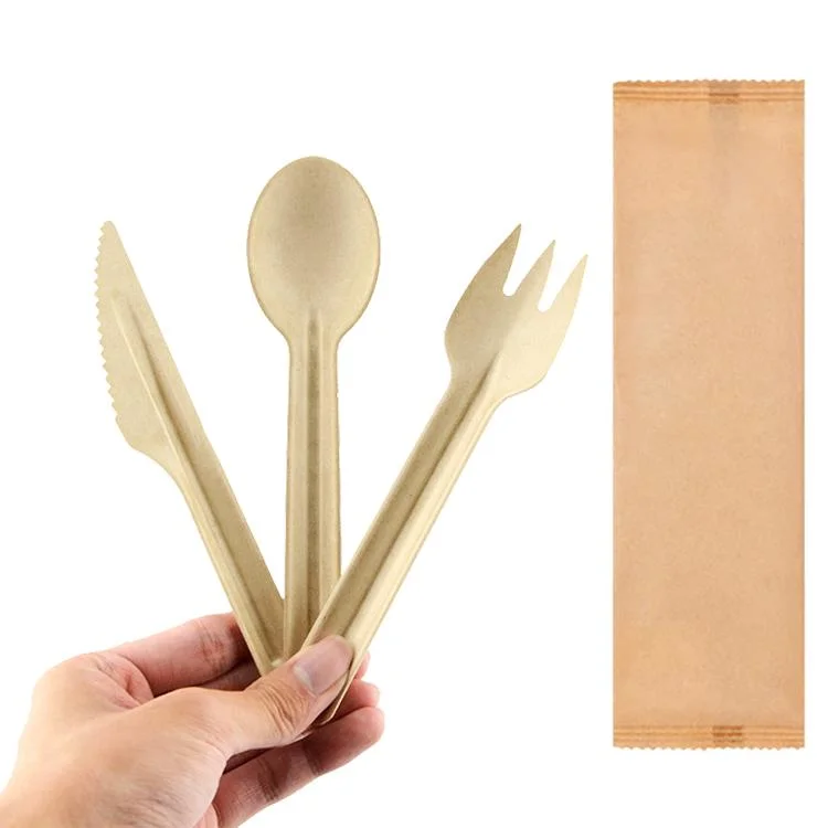Biologisch abbaubarer PLA Kunststoff Einweg Löffel Gabel Messer Besteck Set Besteck Setzen