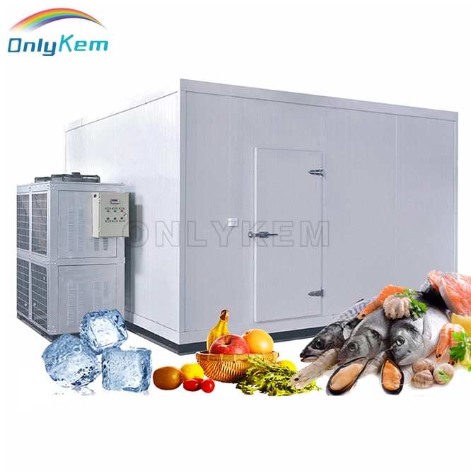 Practical Discount China Price Mobile Modular Chambre Froide Refrigeration Unit Mini Freezer Cold Room Storage for Meat and Fish