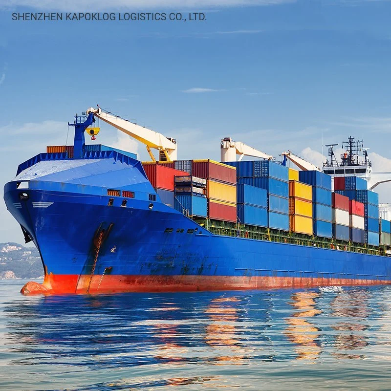 Door to Doorshipping Container Sea Freight Marine Cargo From China to Iraq