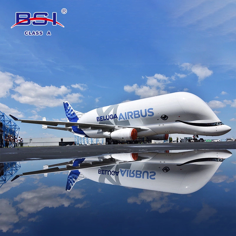 Fba Sensitive Goods Express Forwarder From China to USA UK France Germany Italy Canada