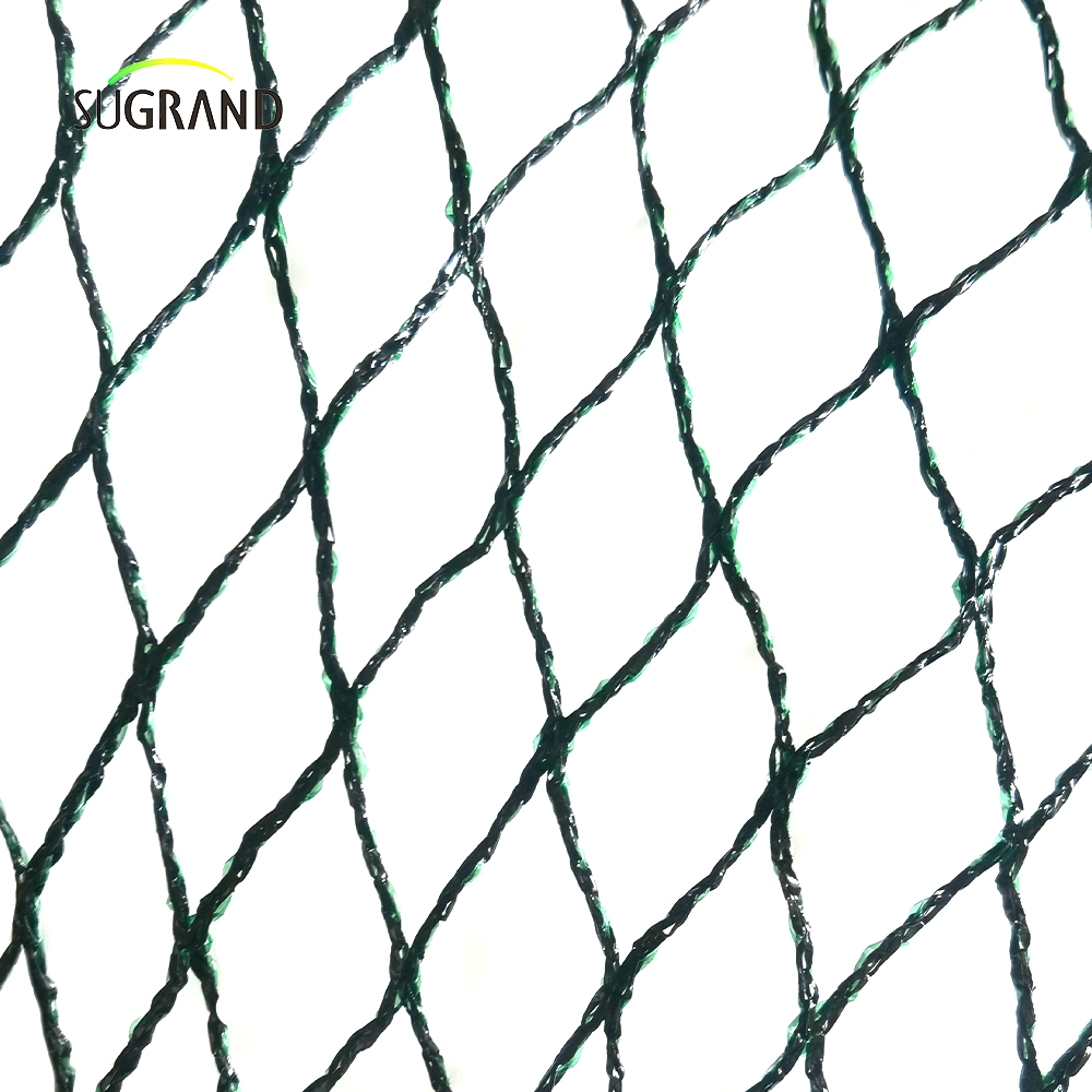 Original Factory Exports Diamond and Hexongal Bird Net Trap Product