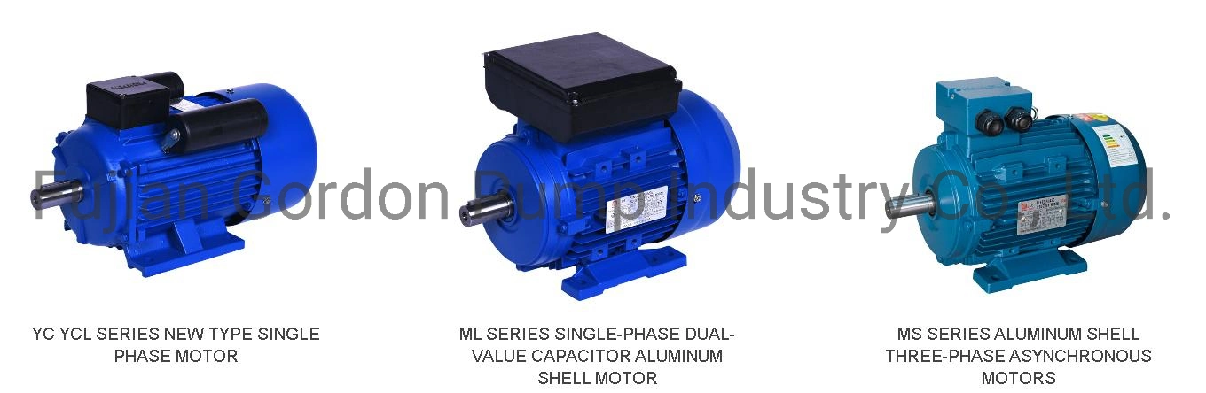 Y2 Series Medium-Sized Low-Voltage Three-Phase Asynchronous Motors