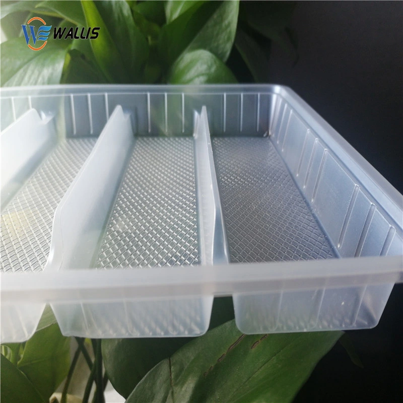 Packing Box Anti-Fog Pet Good Material for Blister Packing